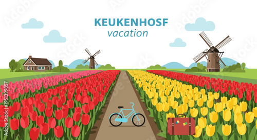 Tulip Field In Full Bloom At Keukenhof Netherlands. Vector Illustrations. EPS Editable