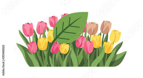 Vibrant Tulip Bouquet Focused On Main Flower. Vector Illustrations. EPS Editable