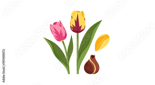 Vibrant Tulips Flowering In Bright Bouquet Display. Vector Illustrations. EPS Editable
