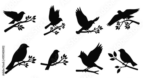 Birds perched on branches depicted in a striking black silhouette