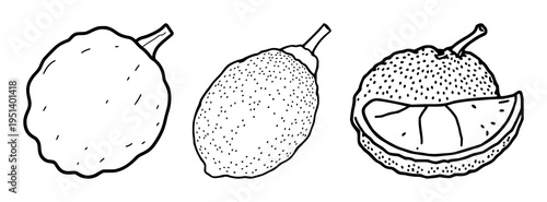 Jackfruit set with bold black border line art illustration isolated on white background featuring exotic fruit theme, whole fruit, flat icon with botanical and tropical fruit