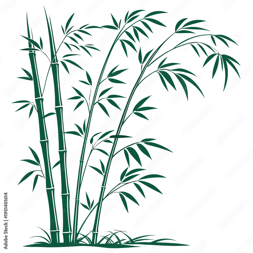 Naklejka premium Bamboo Plant