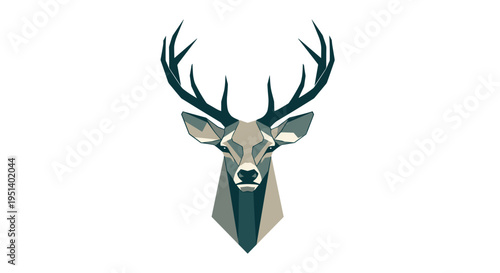 Deer head with large antlers closeup 2.