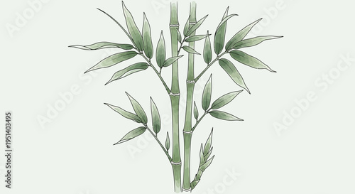 Green Bamboo Stalks with Leaves Watercolor Style