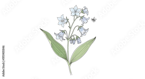 Delicate Blue Forget-Me-Not Flower Illustration on White Background