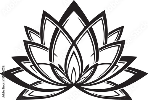 lotus flower vector
