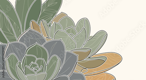Echeveria Succulent Plant Drawing, Botanical Illustration, Garden Flora