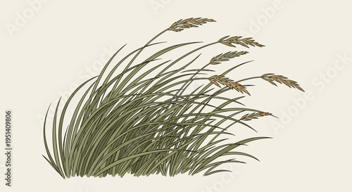 Windy Field Grass Illustration