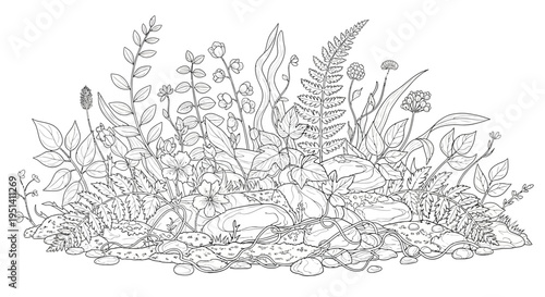Hand-drawn illustration of lush forest floor with rabbit and rocks