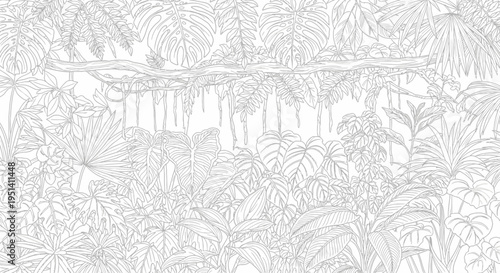 Lush Jungle Foliage Outline Drawing - Tropical Rainforest Plants and Vines