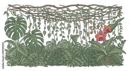 Lush jungle foliage with hanging vines, large leaves, and orchids