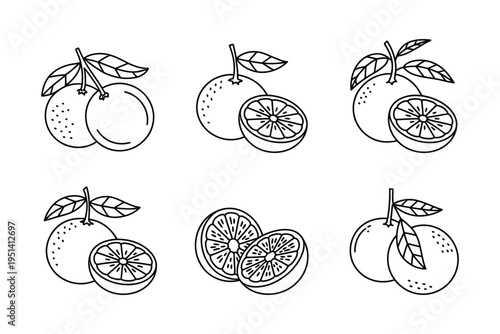 Orange vector illustration set with leaves and slices on white background