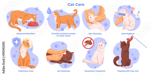 Cat care set showing grooming and health actions in cartoon style on white background, concept of pet care. Vector illustration