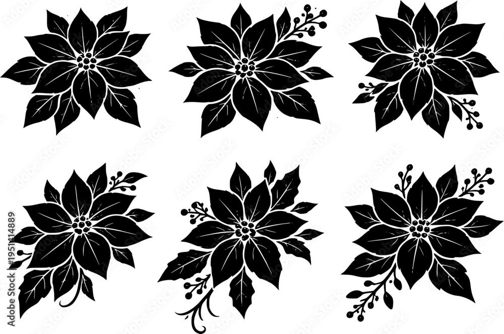 Obraz premium 6 Premium Black Poinsettia Flowers Icons. Botanical Graphic Elements. Design Element. Clip art. Suitable for artwork design. Editable for any design.