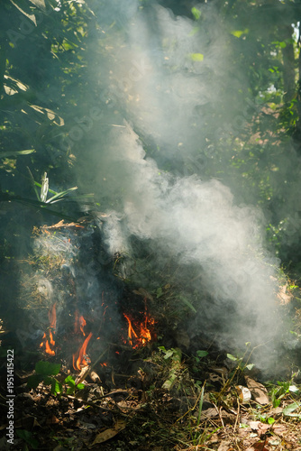 Close up vertical view of smoke from burning garbage, leaves and grass illuminated by sunlight. Ecological and environmental concept. For graphic design needs, 3D rendering and banners