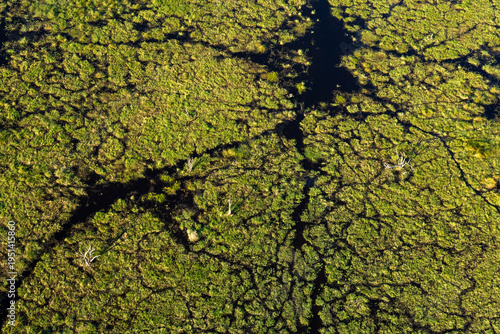 An aerial shot of a rather dry wetland in Okavango delta during an evening near Maun, Botswana