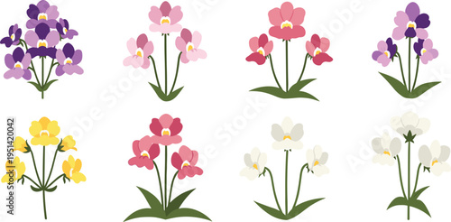 Nemesia flower collection set. Soft colorful blossoms in multiple shades on green stems. Garden ornamental plants, botanical floral vector illustration isolated.