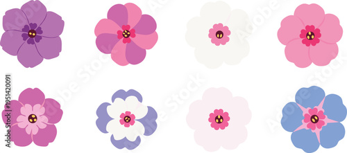 Phlox flower collection set. Colorful five petal blossoms in soft pastel shades. Botanical floral elements, decorative garden vector illustration isolated.