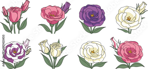 Lisianthus flower collection set. Elegant rose like blossoms with buds and leaves. Pastel botanical floral elements for wedding and decorative vector illustration.