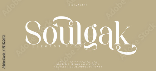 Soulgak premium luxury elegant alphabet letters and numbers. Elegant wedding typography classic serif font decorative vintage retro. Creative vector illustration