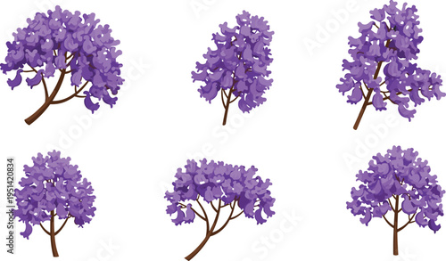 Jacaranda tree vector set. Lush purple blooming trees with dense floral canopies. Botanical illustration collection for spring design, landscape scenes, and decorative use.