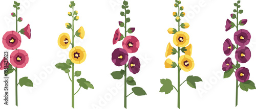Hollyhock flower vector set. Minimal colorful garden blooms with tall stems and soft petals. Botanical floral collection for spring design, cottage themes, and decoration.