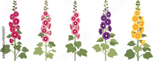 Fotografie Hollyhock flower vector set