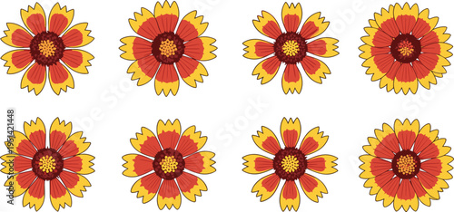 Gaillardia flower vector collection. Bright red, orange and yellow blanket blooms in multiple styles. Botanical illustration for summer garden design and floral graphics.