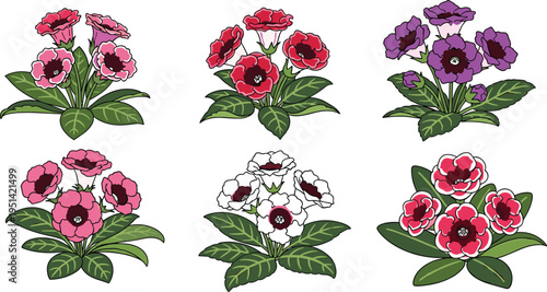 Gloxinia flower vector set. Detailed red, pink, purple and white blossoms with green leaves. Botanical illustration collection for houseplants, floral design, and decorative graphics.