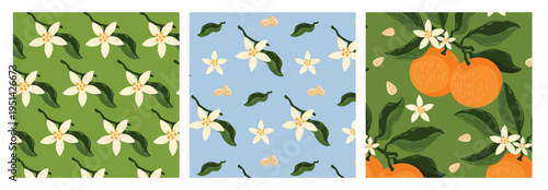 Oranges neroli blossoms white flowers green blue background seamless pattern set vector illustration fruit citrus floral wallpaper textile print design template mockup copy space