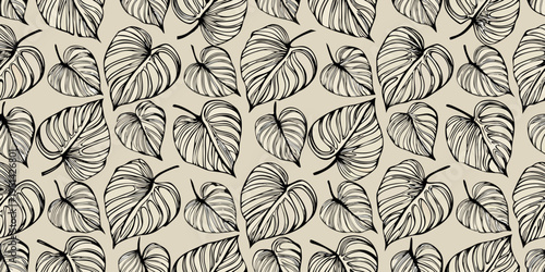 Seamless pattern of detailed monstera leaves in black and white