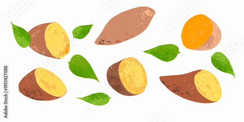 Sweet potatoes and green leaves arranged on a plain white background