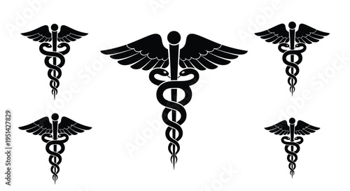 Document with a magnifying glass examining details a stark silhouette