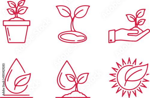 Illustrations depicting essential stages and elements of plant growth and care