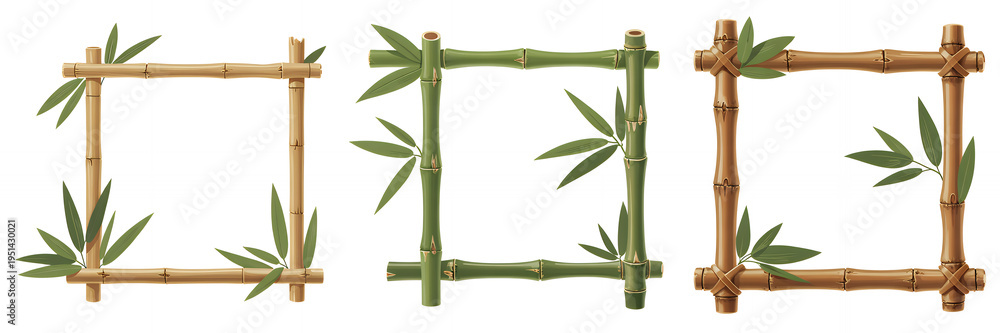Fototapeta premium Bamboo frames with green leaves nature