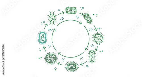 Microorganism life cycle illustration with bacteria and viruses in a circular diagram
