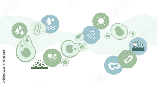 Microscopic Organisms and Environmental Elements: Water, Sun, Rain, Bubbles, Soil