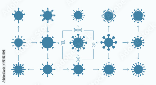 Virus Mutation and Evolution Flowchart: Genetic Change and Spread