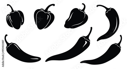 Ancient ceramic vase with handles a striking black silhouette