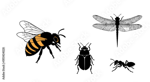 Diverse Insects Collection: Bee, Dragonfly, Beetle, Ant - Isolated Vector Silhouettes