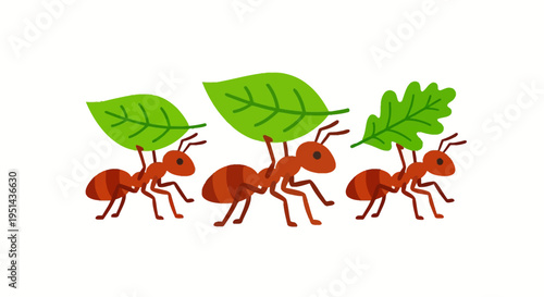 Three ants cooperatively carrying large green leaves in a line