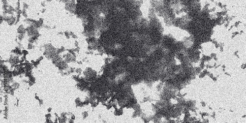 Abstract organic cloud-like formations in grayscale with a prominent grainy texture, offering a textured and atmospheric background for creative projects