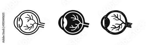 Human Eye Anatomy Icon Set in Line, Solid, and Doodle Styles