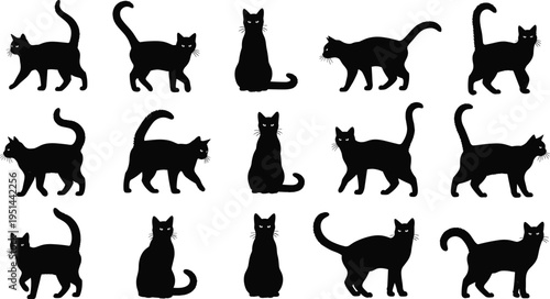 Black cat silhouettes in multiple poses, sitting, standing, walking, tail variations, minimalist design, stylized artwork, decorative illustration, creative pattern, modern feline concept