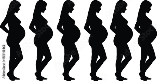 Pregnant woman silhouettes in profile view, progressive stages of pregnancy, belly growth illustration, maternal concept, motherhood design, stylized artwork, creative minimal representation