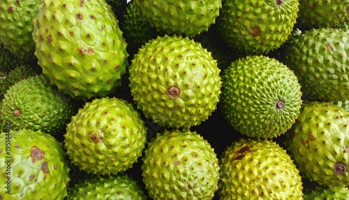 Group of spiky green soursop fruits also known as graviola or guanabana in a natural arrangement showcasing tropical produce