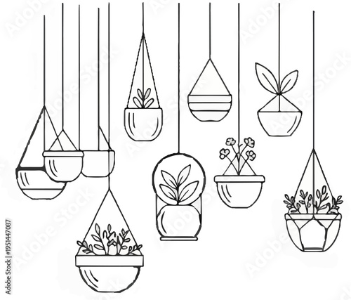 Assortment of hanging planters with various plants inside
