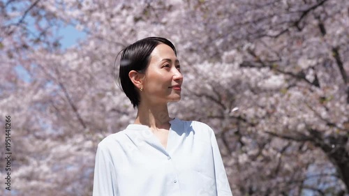 満開の桜と女性　桜吹雪　スローモーション