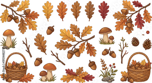 Autumn Leaves and Acorn Collection with Oak Branch Mushrooms and Fall Nature Elements