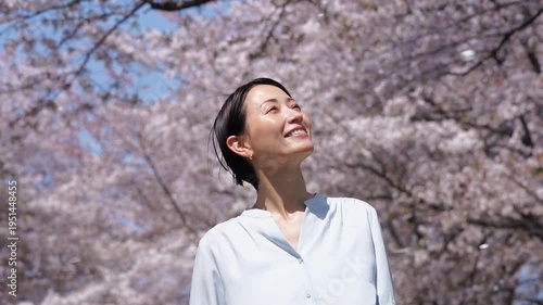 満開の桜と女性　スローモーション